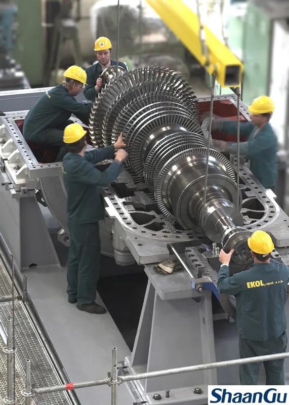 王慧：坚守在捷克的GA黄金甲“花木兰”