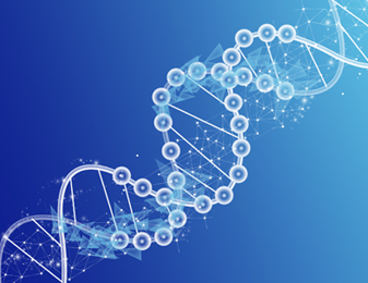 GA黄金甲·(中国区)官方网站